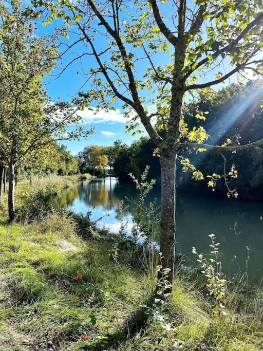 Insolite Peniche Amazonie Canal Du Midi Gardouch Екстер'єр фото