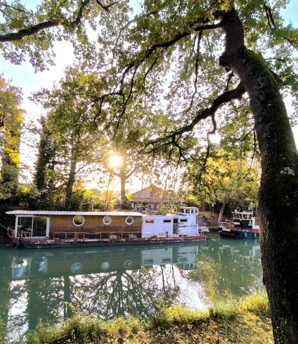 Insolite Peniche Amazonie Canal Du Midi Gardouch Екстер'єр фото